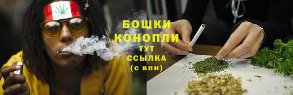 стафф Фёдоровский