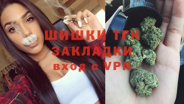 стафф Фёдоровский