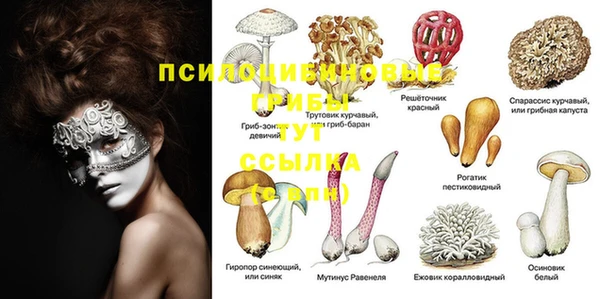стафф Фёдоровский