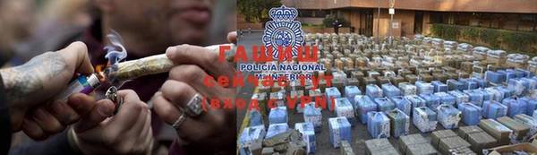 стаф Кодинск