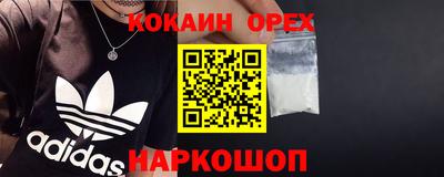 гашик Малгобек