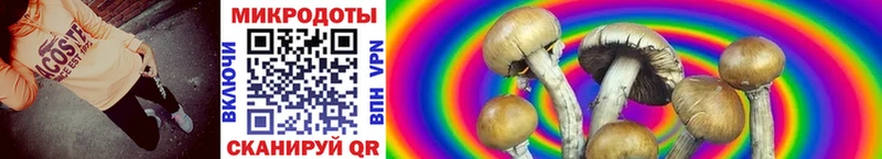 Псилоцибиновые грибы Magic Shrooms  Аксай 