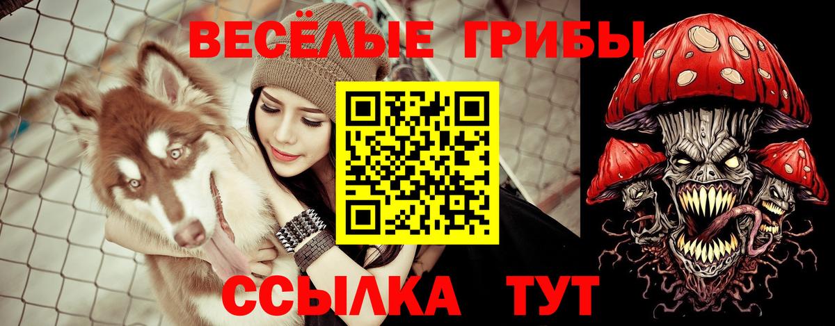Галлюциногенные грибы GOLDEN TEACHER  Вход с VPN  Аксай 