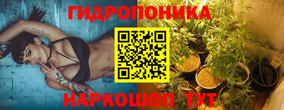 Бошки марихуана SATIVA & INDICA Аксай